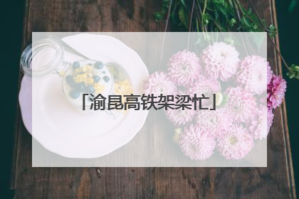 渝昆高铁架梁忙
